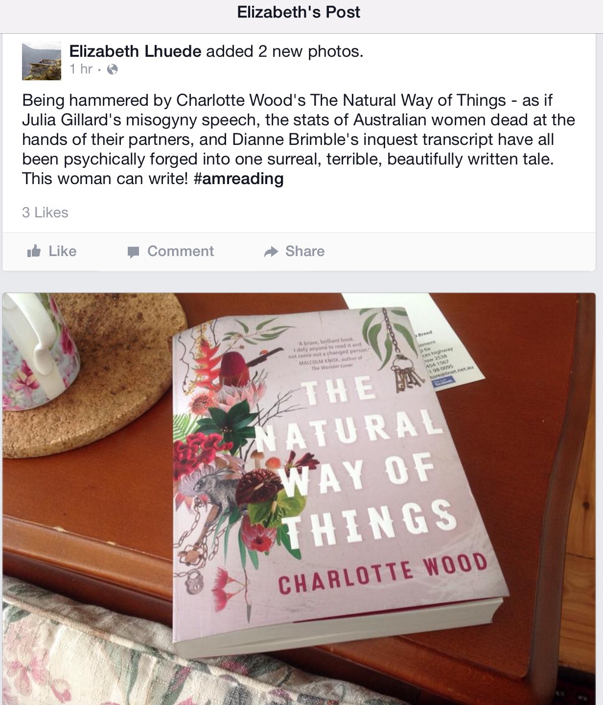 charlotte wood ebook the natural way of things